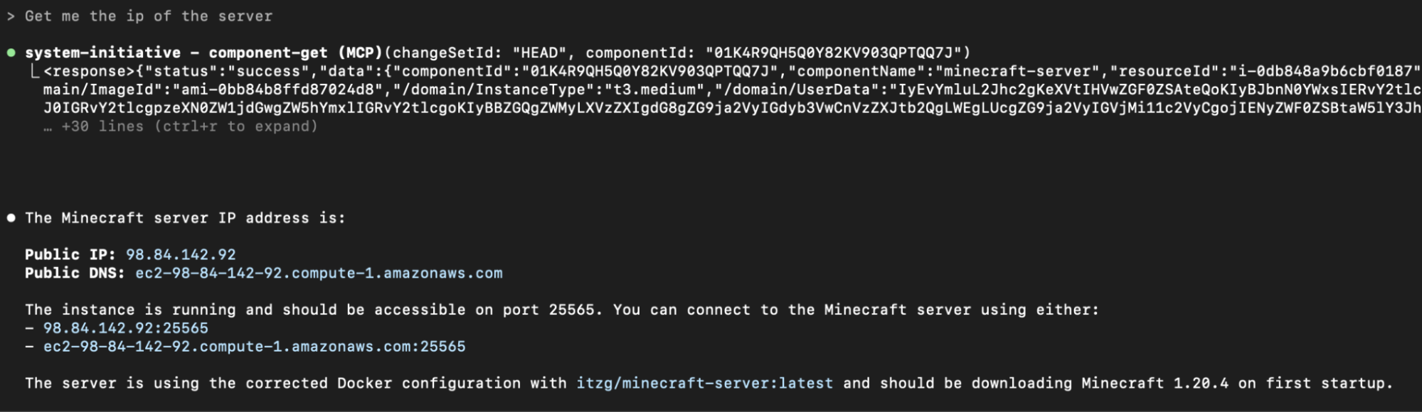 The public IP of the server